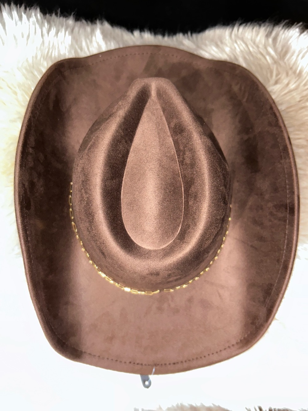 Anthropologie Brown Cowboy Hat with Gold Accent